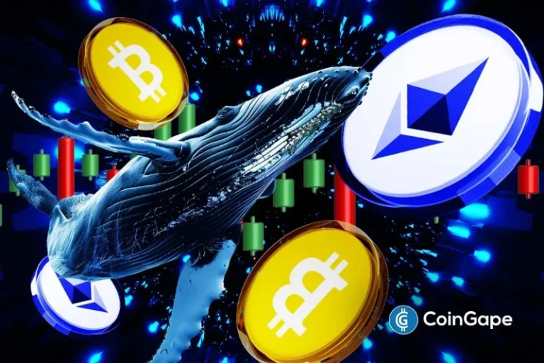 Whales and Institutions Bet Big On Bitcoin And Ethereum Despite Market Dip